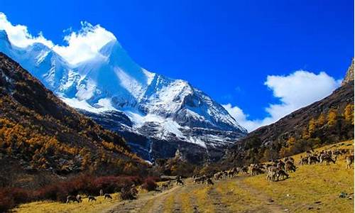 甘孜稻城亚丁景区门票,甘孜稻城亚丁旅游攻