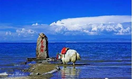 青海湖自驾一日游路线_青海湖自驾旅游攻略青海旅游