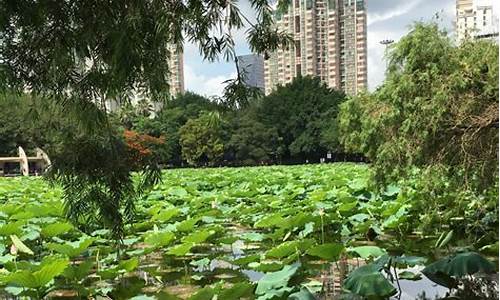 天龙八部如封似闭是哪个门派的技能,洪湖公