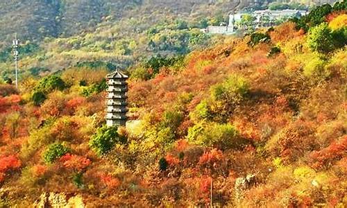 北京小西山森林公园_北京西山森林公园老年