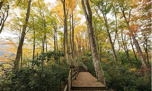 光雾山旅游攻略自驾游推荐_光雾山旅游景点有哪些景点