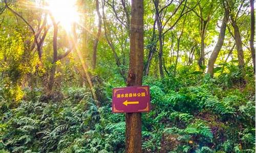 番禺滴水岩森林公园怎么样,广州番禺滴水岩森林公园附近景观推荐