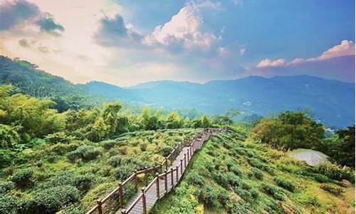 阿里山一日游_阿里山旅游攻略杭州怎么走