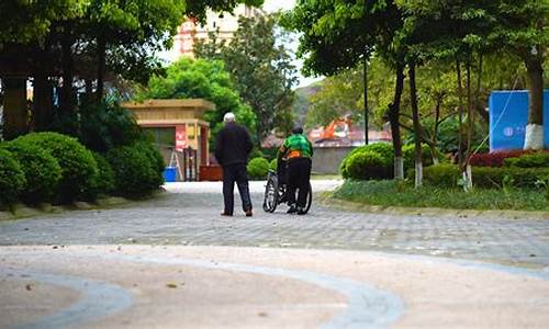 金家街公园里老人接客,金家街公园后山怎么上