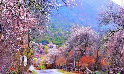 林芝旅游攻略自由行四日行程_林芝旅游攻略自由行四日