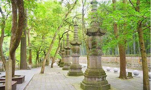 天童森林公园逃票,天童山景区门票