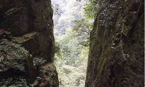 天目山旅游攻略两日游路线推荐_天目山旅游攻略两日游路线推荐