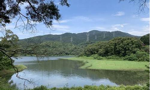 天竺山森林公园票价多少钱_天竺山森林公园票价