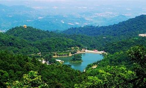 广州帽峰山温度,广州帽峰山森林公园未来天气