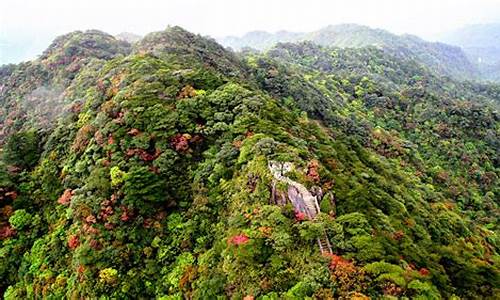 南岭森林公园景区,南岭森林公园景区图片