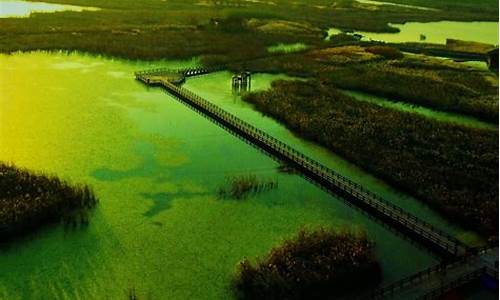 杭州湾湿地公园退伍军人门票_杭州湾湿地公园门票政策