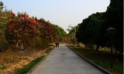 广州龙头山森林公园好玩_广州龙头山有几个门