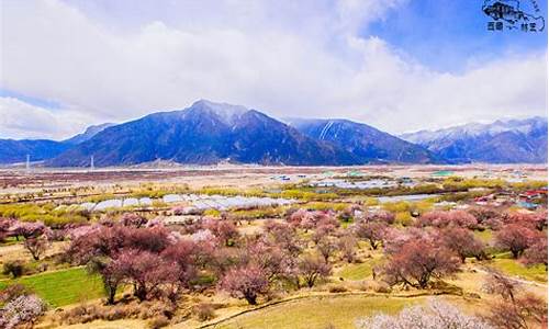 林芝旅游景点林芝景点大全_林芝旅游攻略景点必去知乎大全