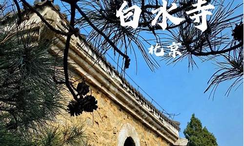 白水寺森林公园在哪_白水寺风景