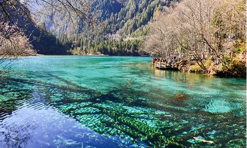 郑州去九寨沟自驾游攻略_郑州去九寨沟自驾旅游攻略