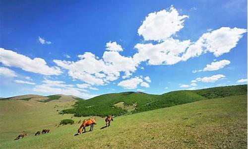 丰宁坝上草原旅游攻略2天自驾,丰宁坝上草原三天自驾攻略