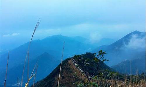 梧桐山旅游路线_梧桐山旅游攻略推荐理由