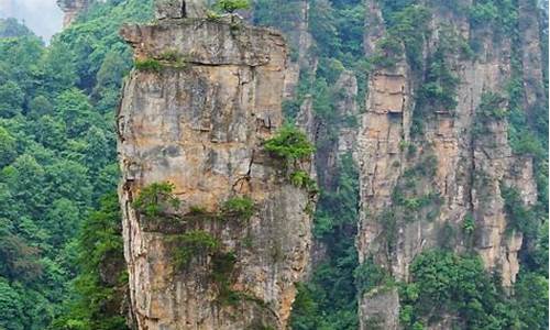 张家界旅游攻略带孩子自由行的地方_张家界景区适合带孩子游玩吗