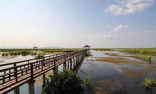 自驾崇明岛一日游攻略,自驾崇明岛旅游攻略景点必去