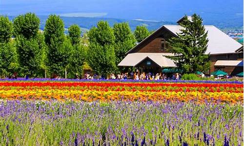 北海道春节旅游攻略路线_北海道春节旅游攻略