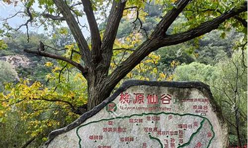 桃源仙谷自然风景区门票-桃源仙谷旅游路线