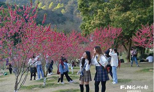 福州森林公园桃花-福州森林公园桃花园